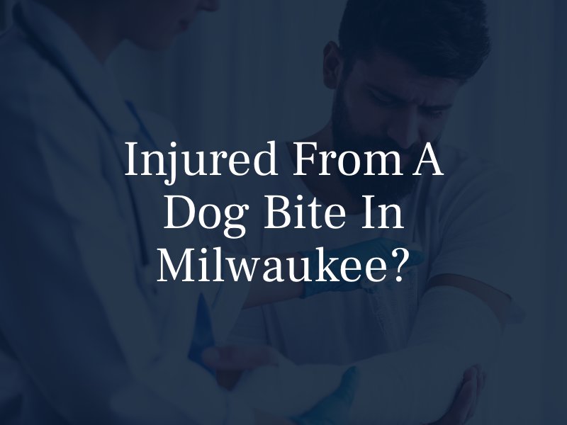 Injured from a Dog Bite in Milwaukee?